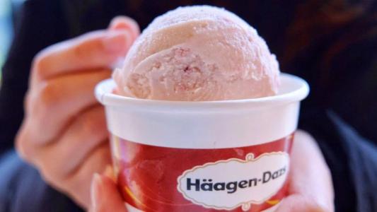 哈根达斯冰淇淋,哈根达斯冰淇淋加盟