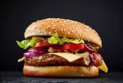 <b>西式快餐加盟什么品牌好?汉堡王是否值得投资</b>